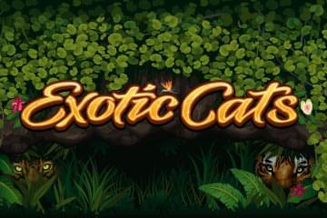 Слот Exotic Cats